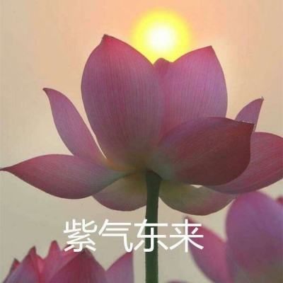 藏不住笑！国足复仇泰国 里皮表情亮了